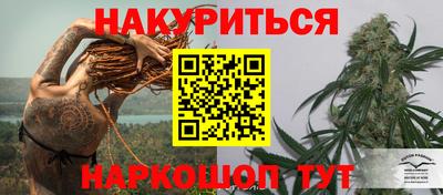 стаф Канаш