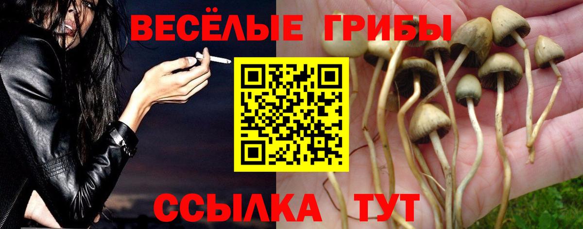 Галлюциногенные грибы GOLDEN TEACHER  Вход с VPN  Галлюциногенные грибы прущие грибы  Елабуга 